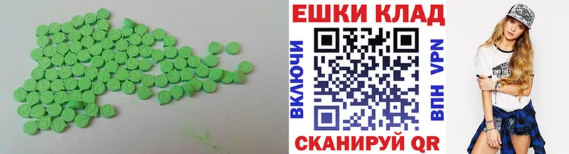 что такое   Кашин  Ecstasy Philipp Plein 