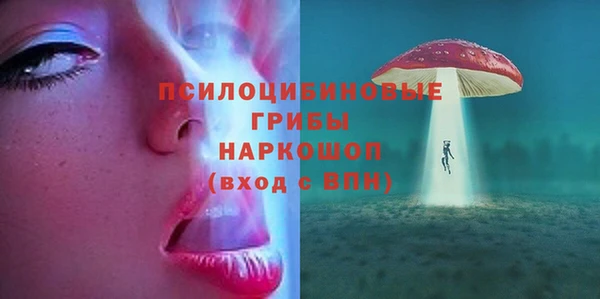 дурь Алексеевка