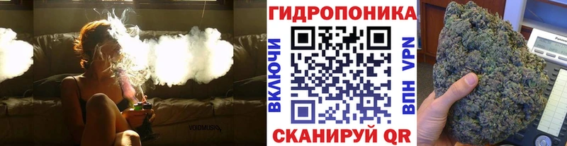 Каннабис сатива  где найти наркотики  Кашин 